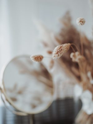 jasmin-ne-1aVDax72ir4-unsplash-scaled.jpg